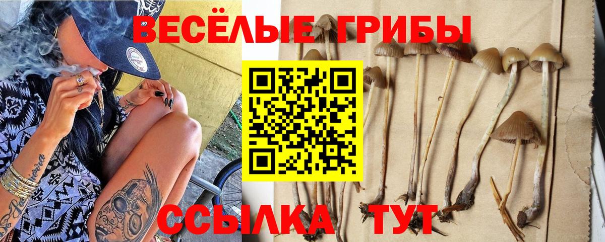 Обнинск  Галлюциногенные грибы ЛСД  Вход с VPN 