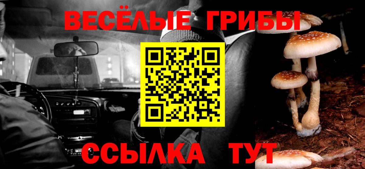 Галлюциногенные грибы ЛСД Обнинск